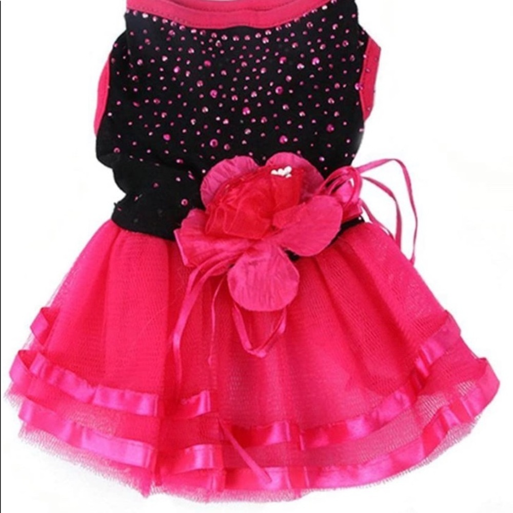 Dog Dress Black and Fuchsia. Size M - Picture 4 of 13